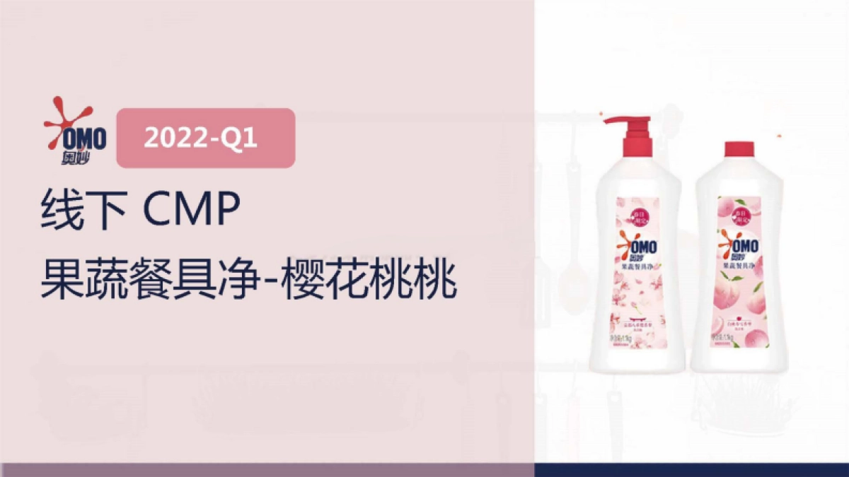 2022奥妙手洗产品品牌沟通计划OMO HDW campaign plan-94P_第10页