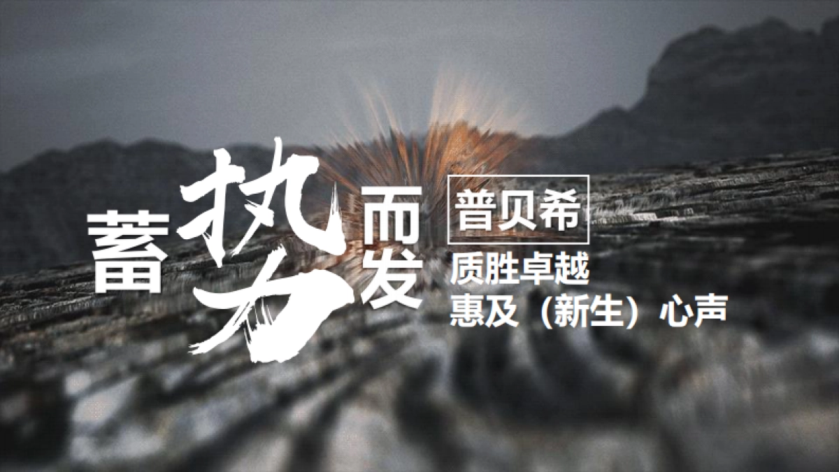 2022百泽安x普贝希品牌日年会活动策划方案_第5页