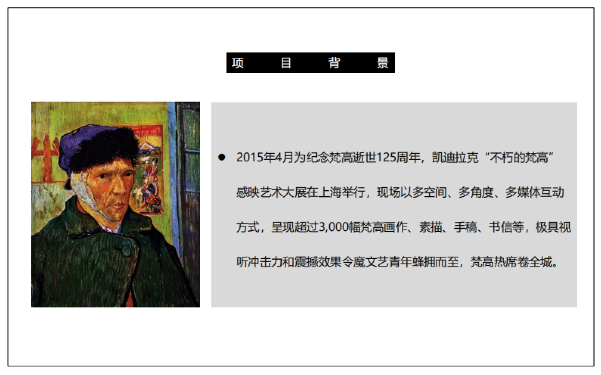 【豆瓣】凯迪拉克-不朽的梵高策划案_第2页