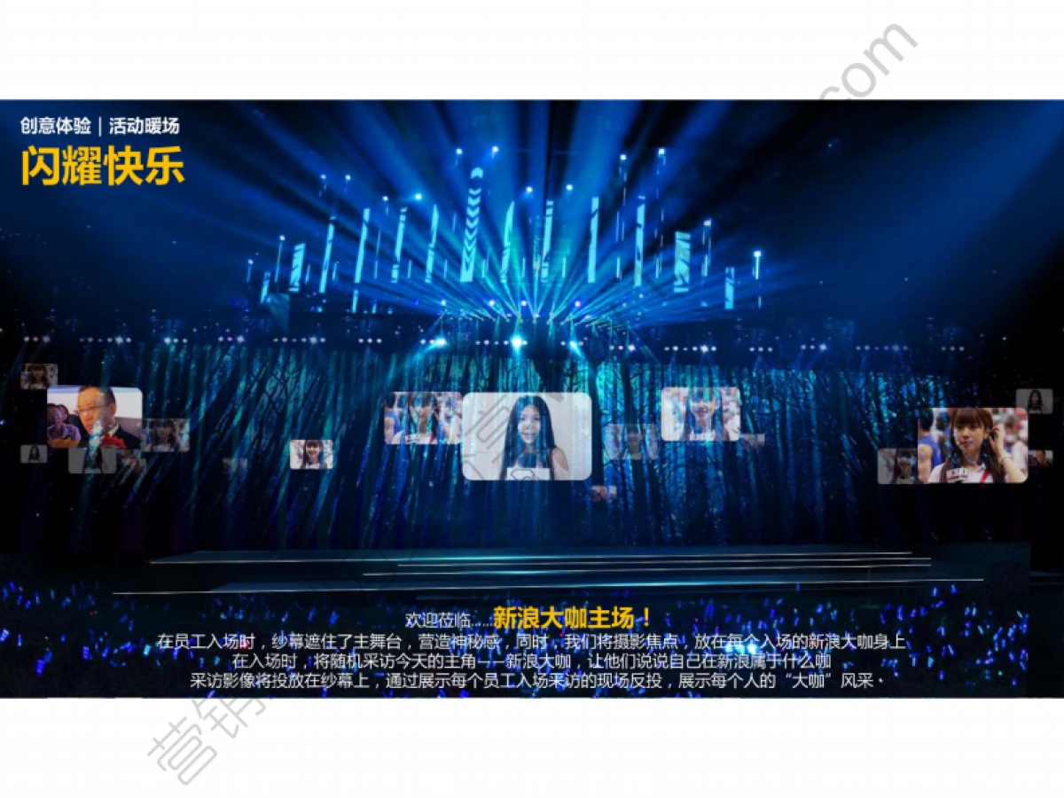 2014新浪策划方案-44P_第10页