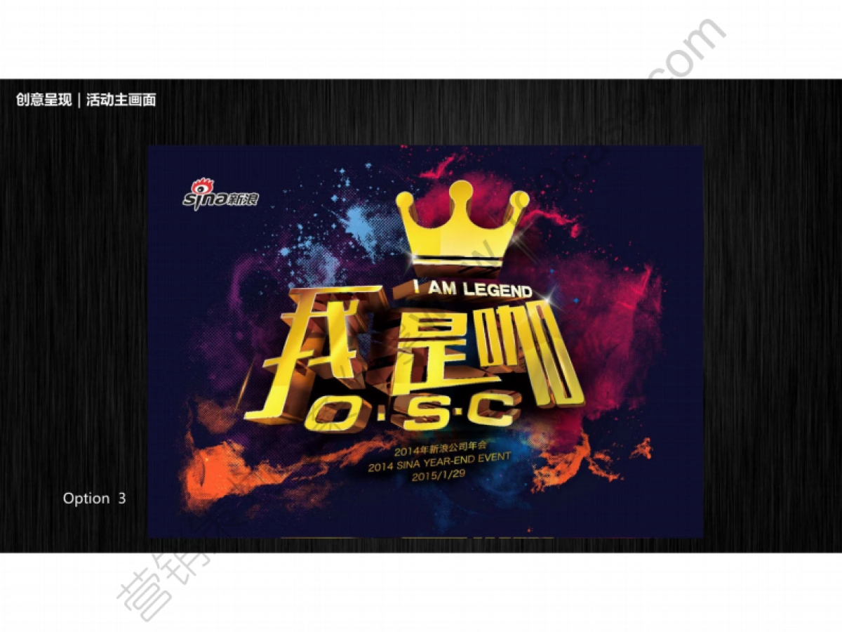 2014新浪策划方案-44P_第4页