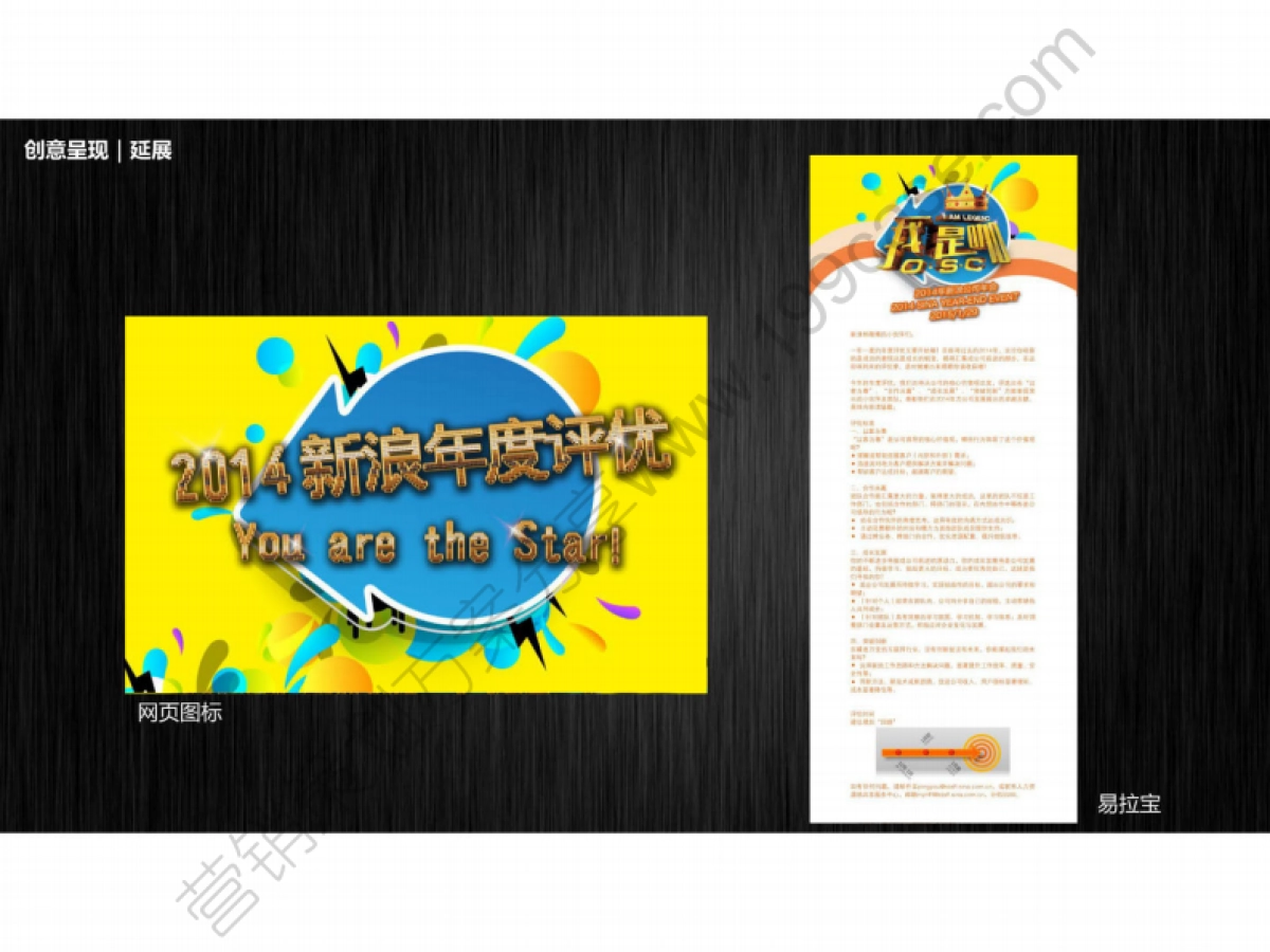 2014新浪策划方案-44P_第6页