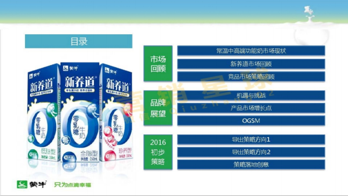 2016蒙牛常温液体奶新养道品牌策略规划_第2页