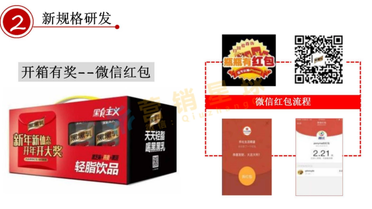 2017 黑黑乳 品牌营销策略及规划_压缩_第10页