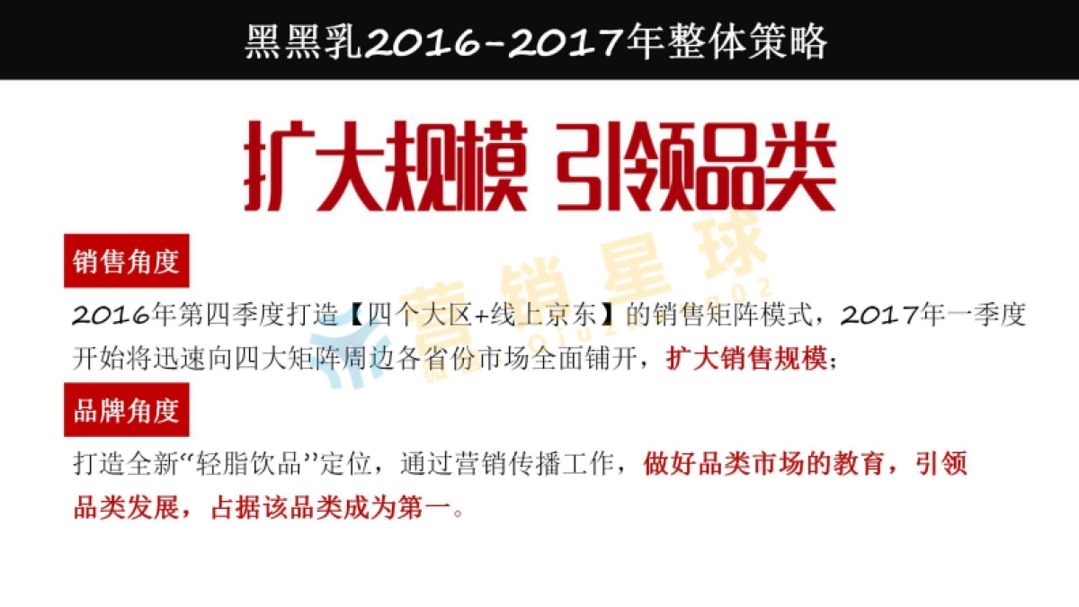 2017 黑黑乳 品牌营销策略及规划_压缩_第2页