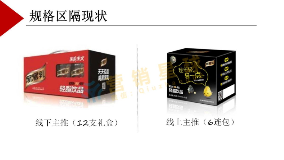 2017 黑黑乳 品牌营销策略及规划_压缩_第8页