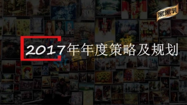 2017 黑黑乳 品牌营销策略及规划_压缩