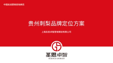 2017贵州刺梨品牌定位方案