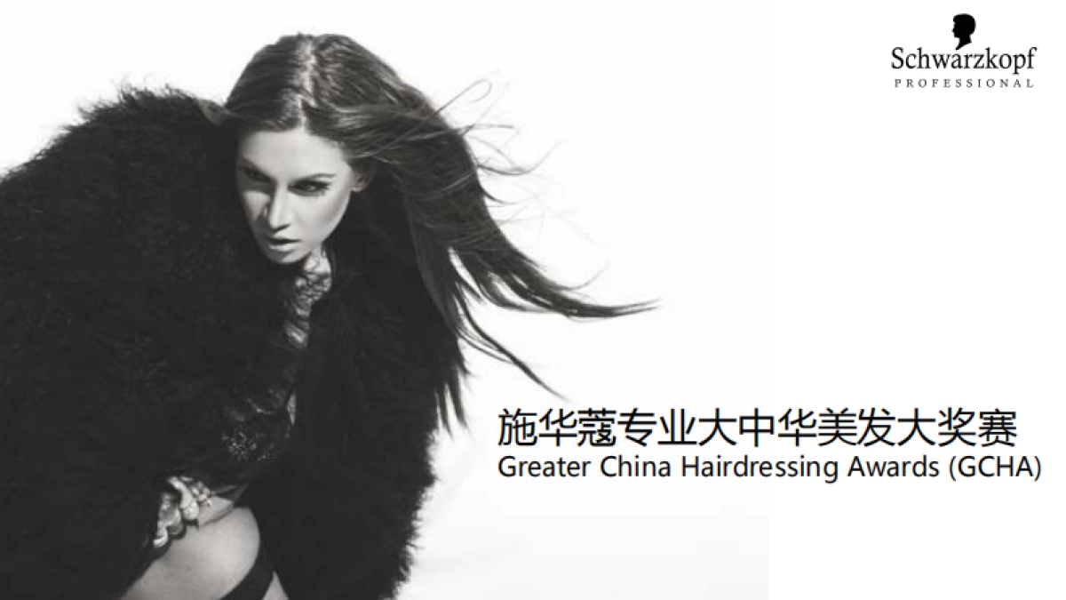 2017施华蔻第九届专业大中华美发大奖赛策划案_第1页