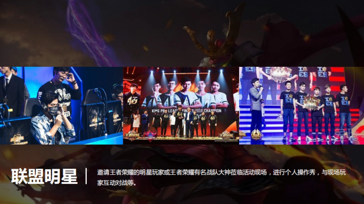 2017王者荣耀电竞主题策划案_第9页