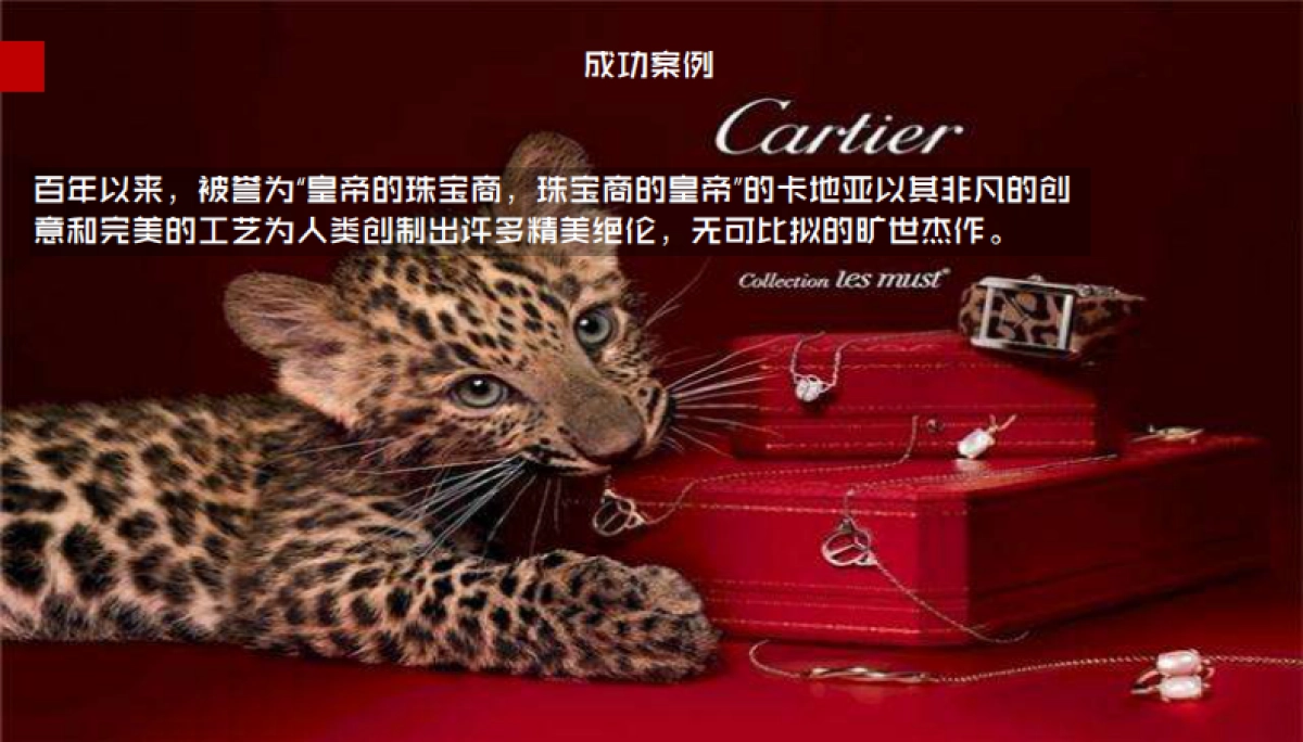 2018巧夺天工品牌策略方案_第4页