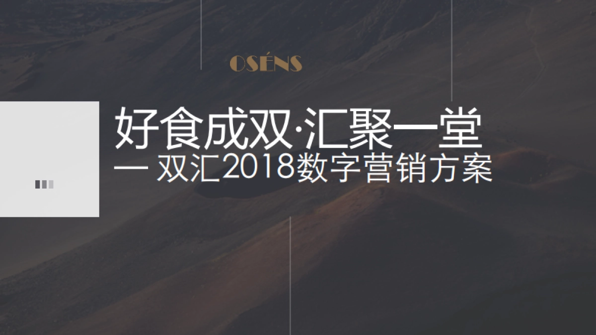 2018双汇品牌2018年数字营销方案 _第10页