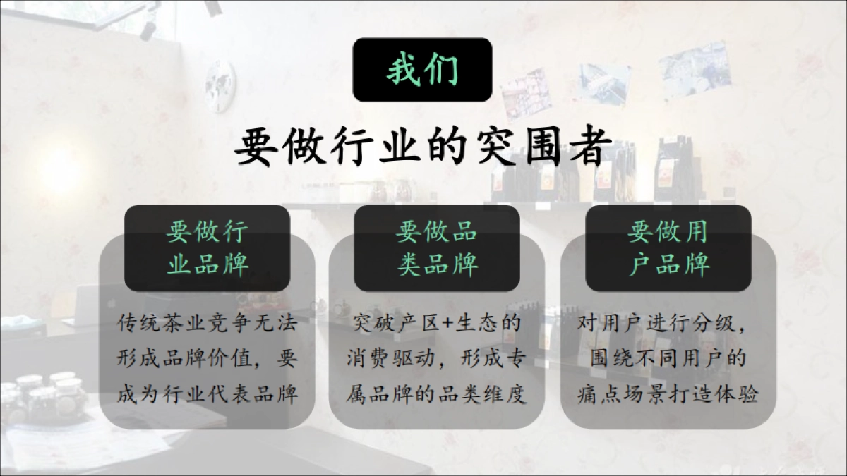 2020【土林凤凰】用户品牌规划方案_第10页