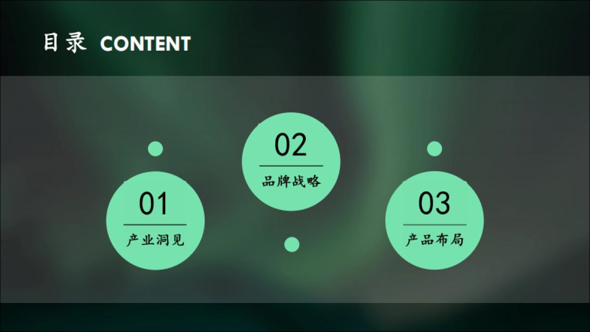 2020【土林凤凰】用户品牌规划方案_第2页