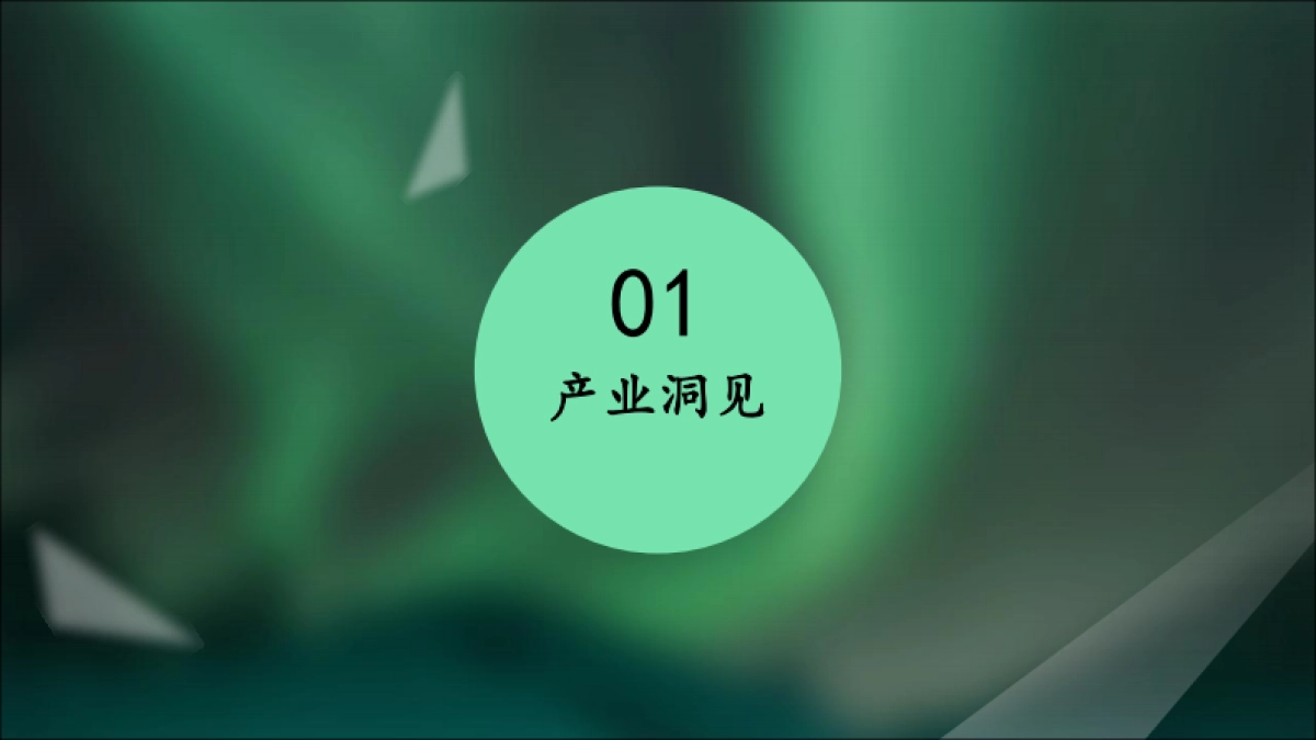 2020【土林凤凰】用户品牌规划方案_第3页