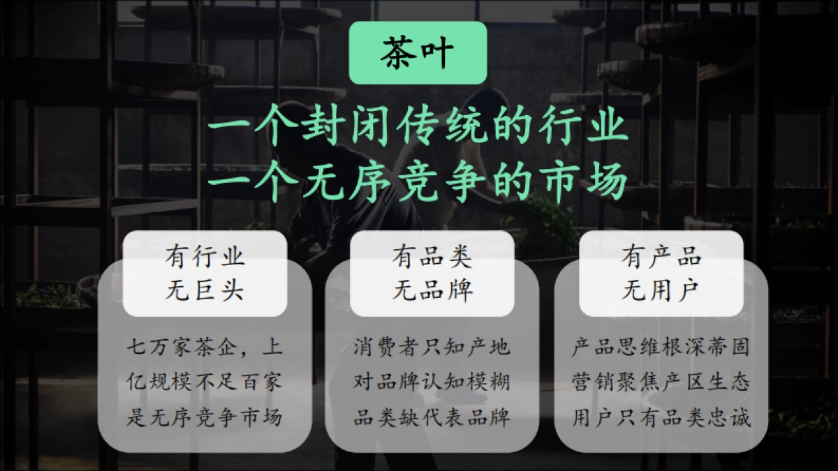2020【土林凤凰】用户品牌规划方案_第4页