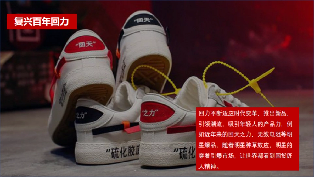 2020李先生品牌升级战略(1)_第5页