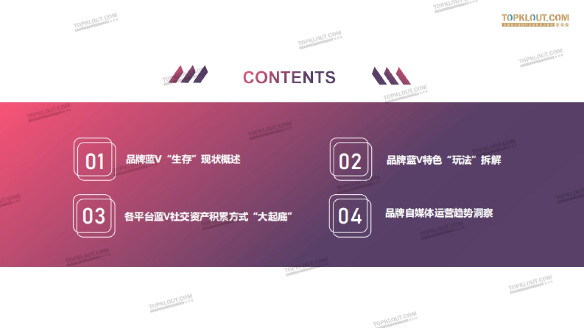 2020年各平台品牌蓝V“成长”指南-克劳锐出品_第3页