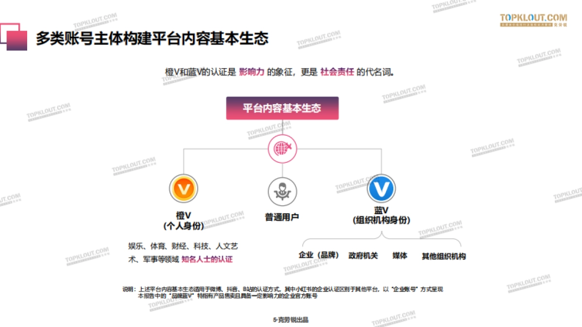 2020年各平台品牌蓝V“成长”指南-克劳锐出品_第5页
