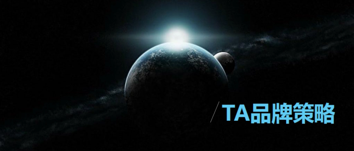 2020腾讯T8策划方案_第9页