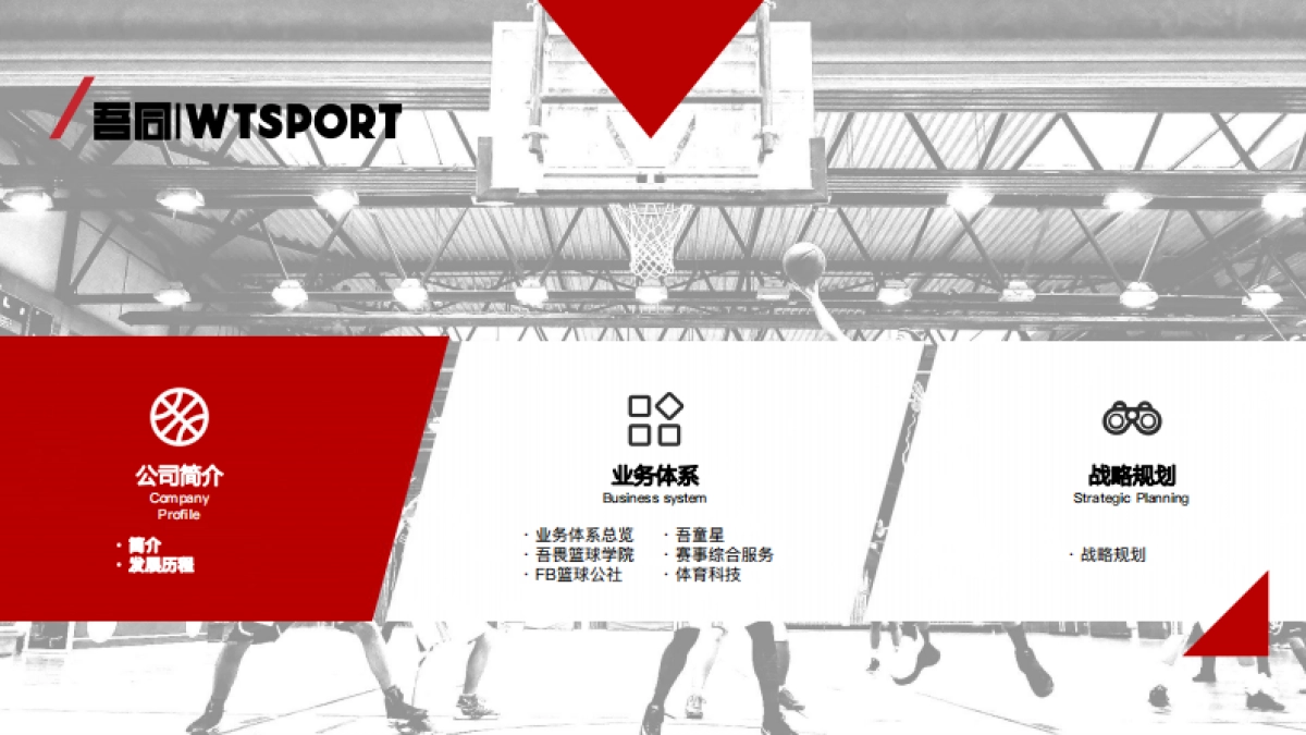 2020吾同体育青少年篮球品牌介绍_第2页