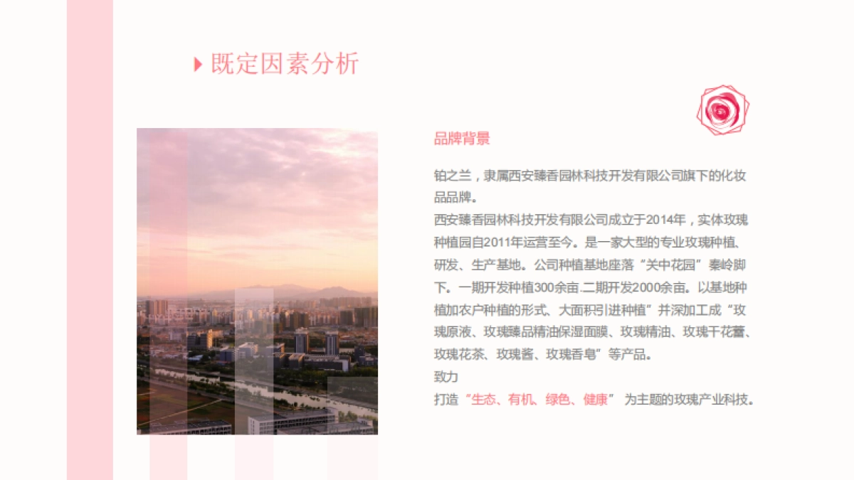 铂之兰 品牌落地 _第4页