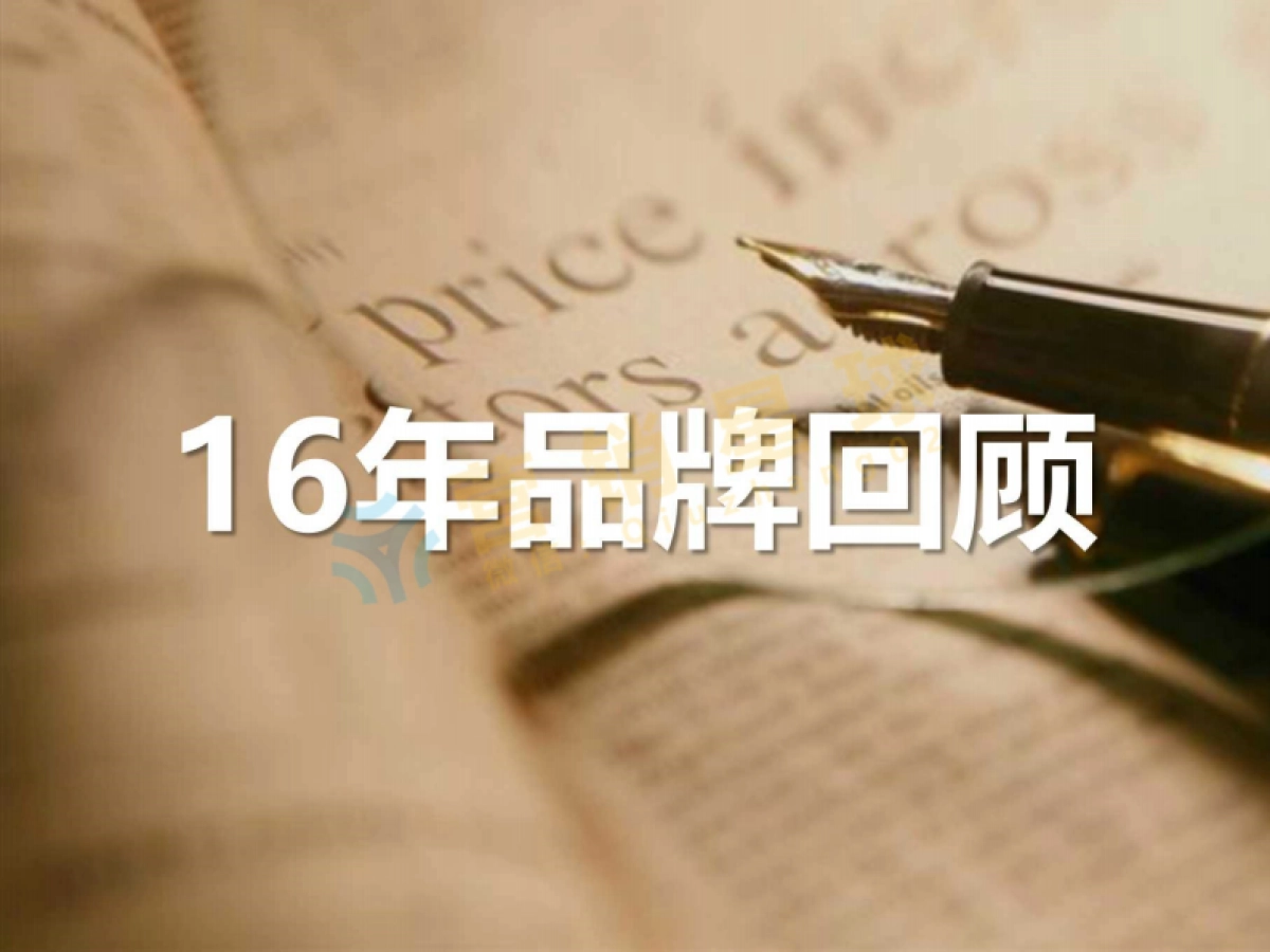 诚新二手车2017年度品牌策略_压缩_第3页