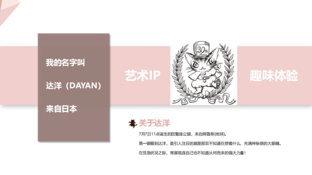 达洋猫品牌介绍_第2页