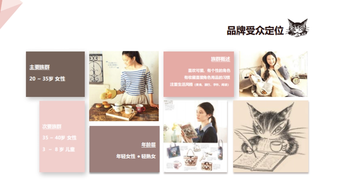 达洋猫品牌介绍_第6页