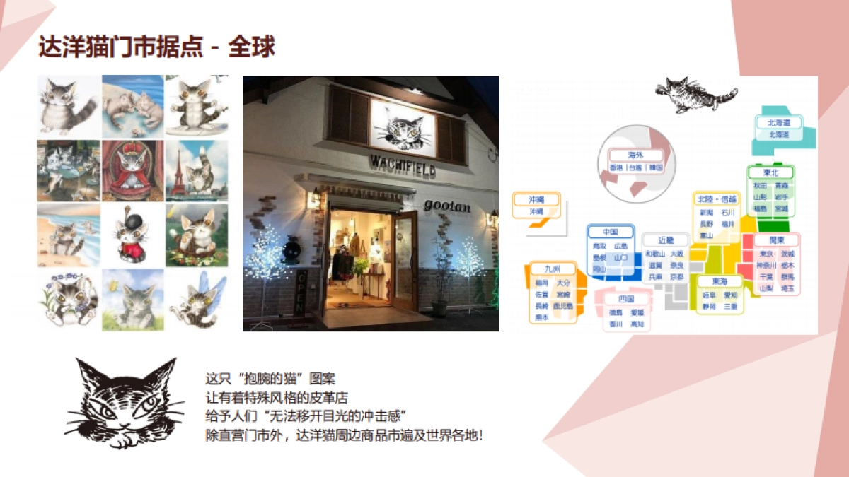 达洋猫品牌介绍_第8页