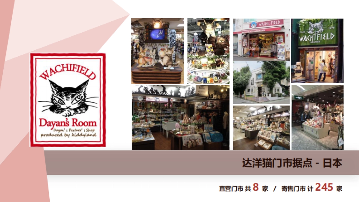 达洋猫品牌介绍_第9页