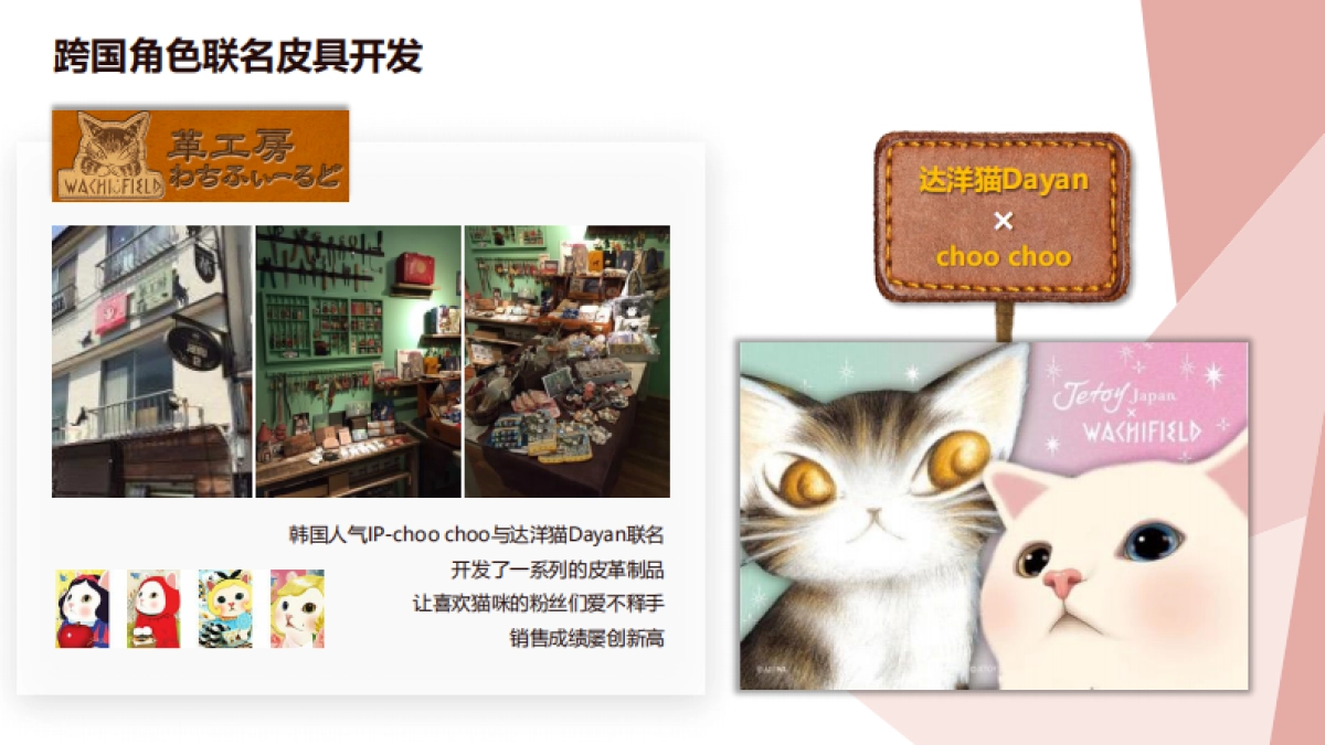 达洋猫品牌介绍-2018年OK版_第10页