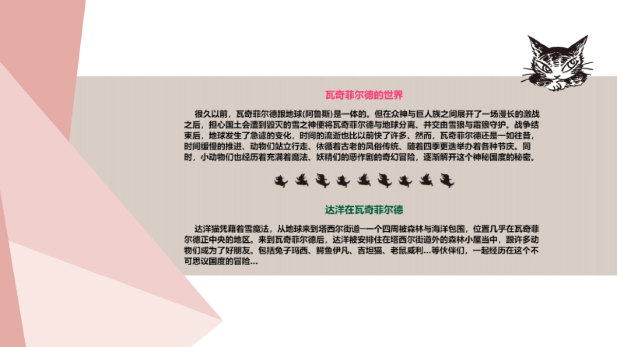 达洋猫品牌介绍-2018年OK版_第3页