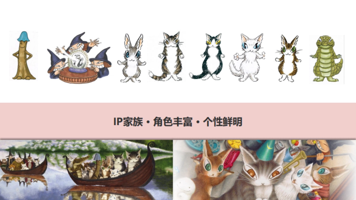达洋猫品牌介绍-2018年OK版_第5页
