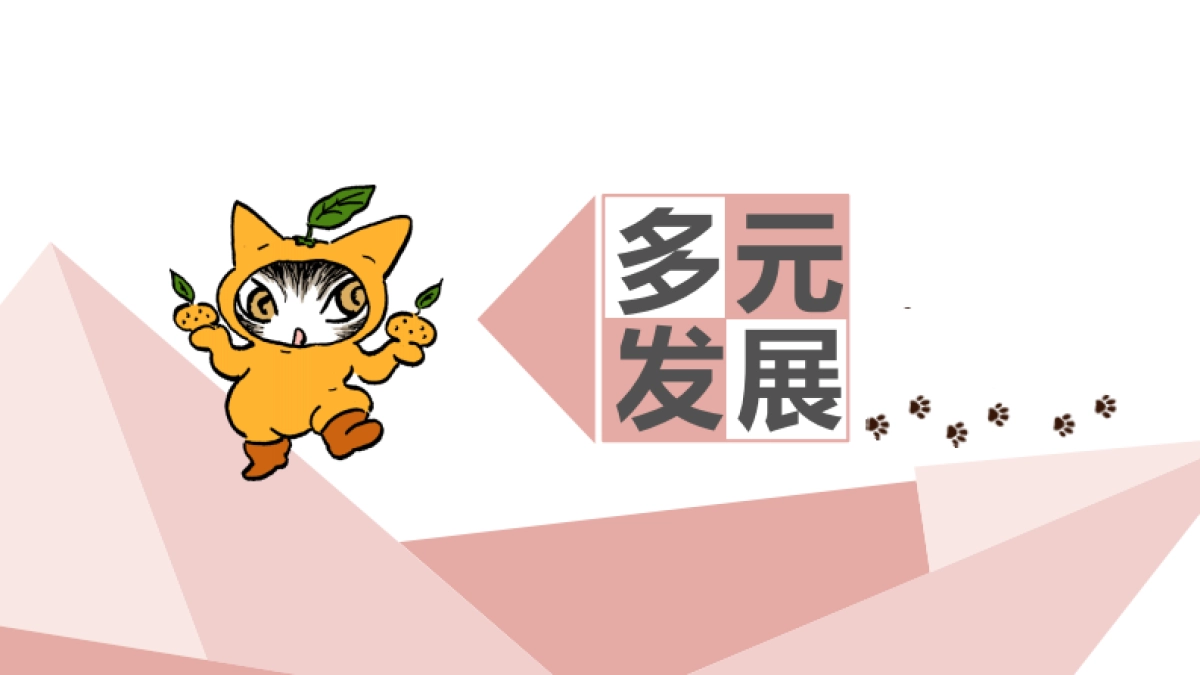 达洋猫品牌介绍-2018年OK版_第7页