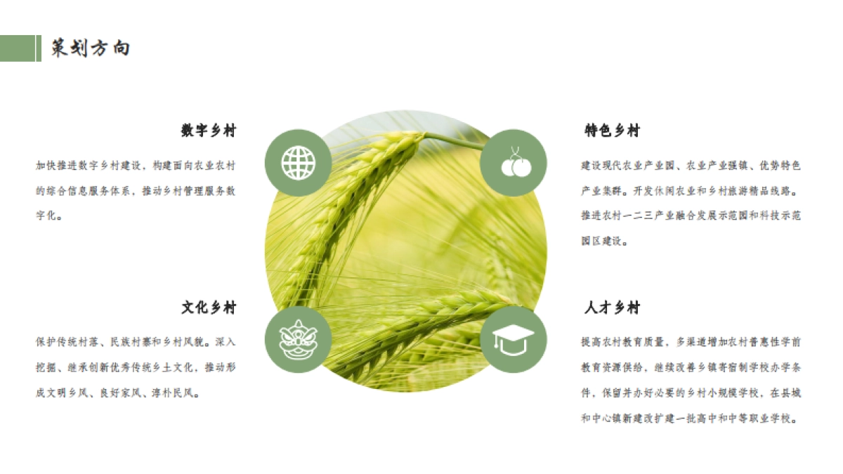 2022书写乡村新风貌乡村振兴策划方向_第4页