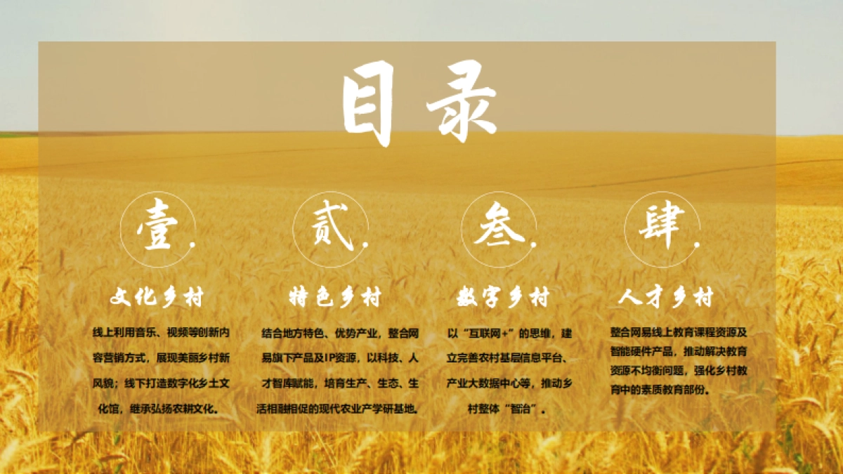 2022书写乡村新风貌乡村振兴策划方向_第5页