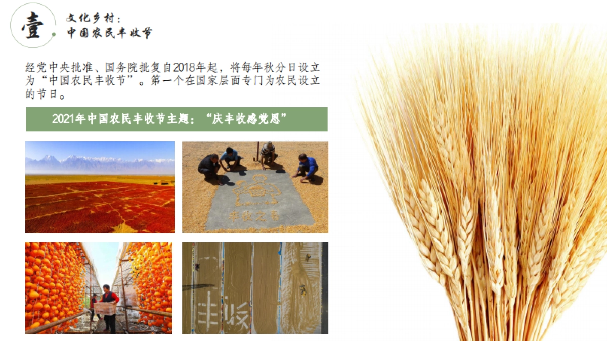 2022书写乡村新风貌乡村振兴策划方向_第8页