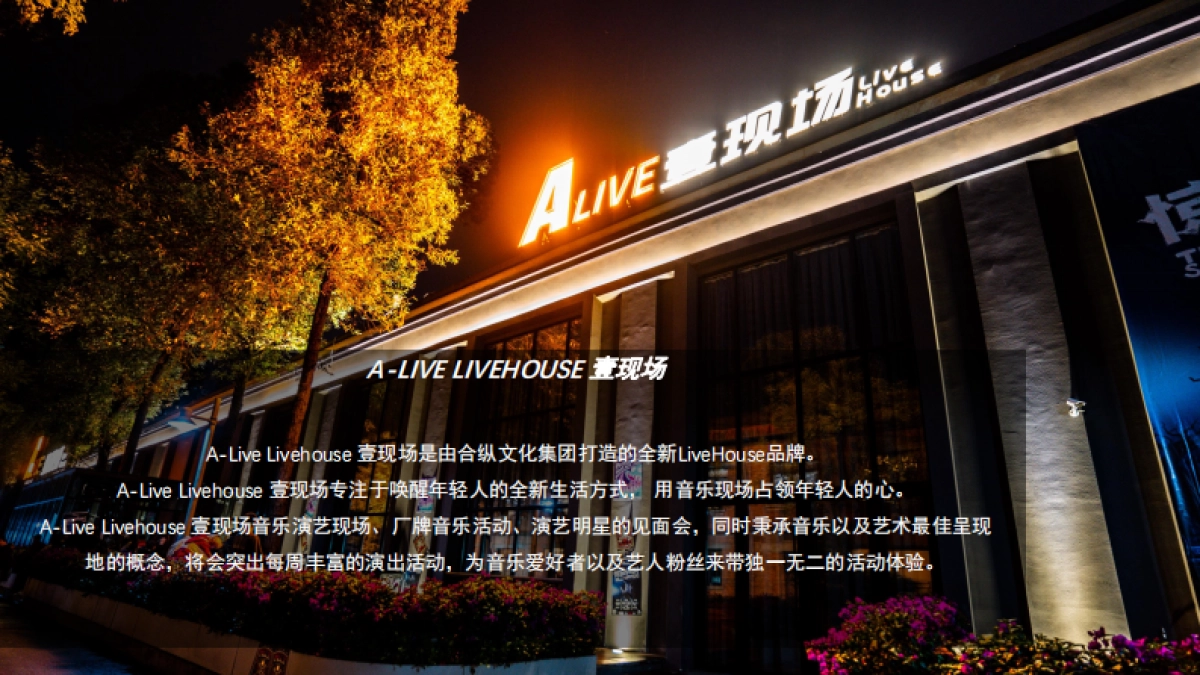 2022壹现场酒吧品牌介绍_第2页