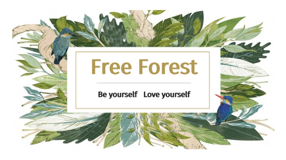 Free Forest森女系品牌店铺规划_第1页