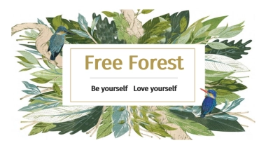 Free Forest森女系品牌店铺规划