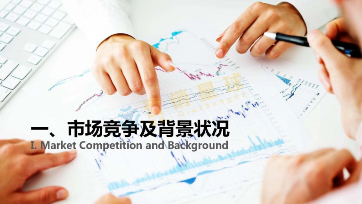 KERRYGO－2015－品牌策略方案2_压缩_第2页