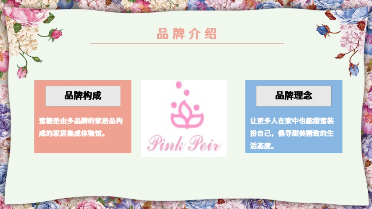 Pink Peri家居服装品牌店铺策划_第4页