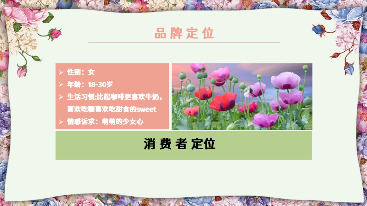 Pink Peri家居服装品牌店铺策划_第6页