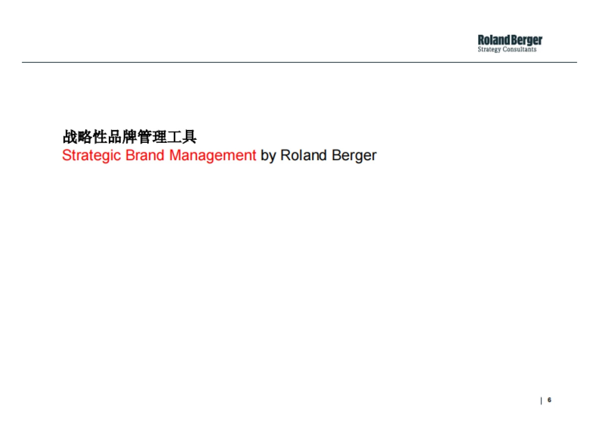 RolandBerger罗兰贝格战略性品牌管理工具-消费者价值分析_第6页