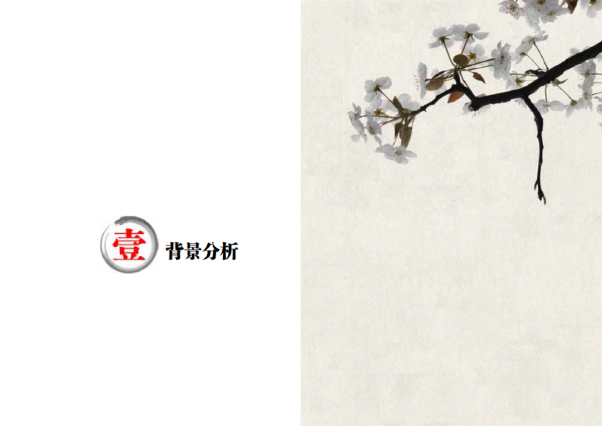 安徽世界梨都田园综合体总体策划及概念规划（同济）_第3页