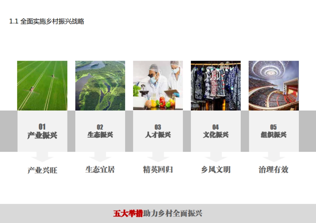 安徽世界梨都田园综合体总体策划及概念规划（同济）_第5页