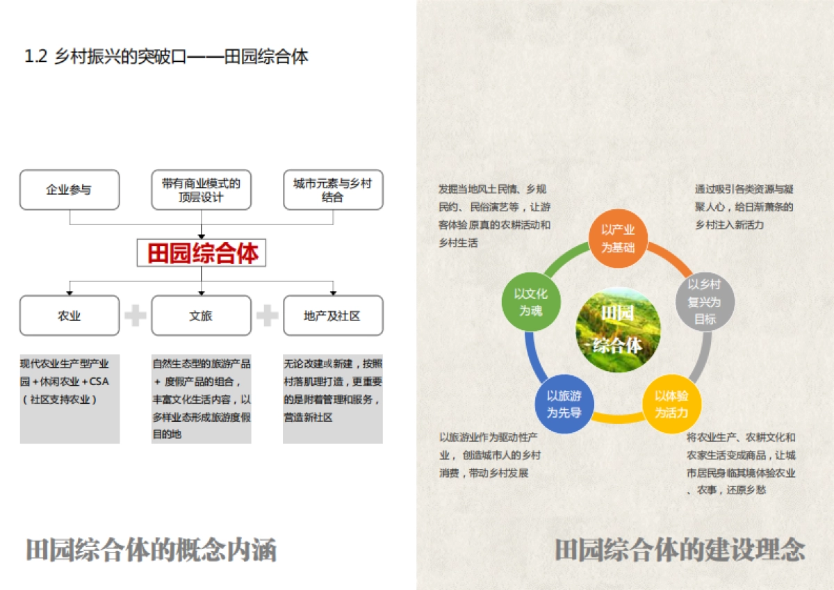 安徽世界梨都田园综合体总体策划及概念规划（同济）_第9页