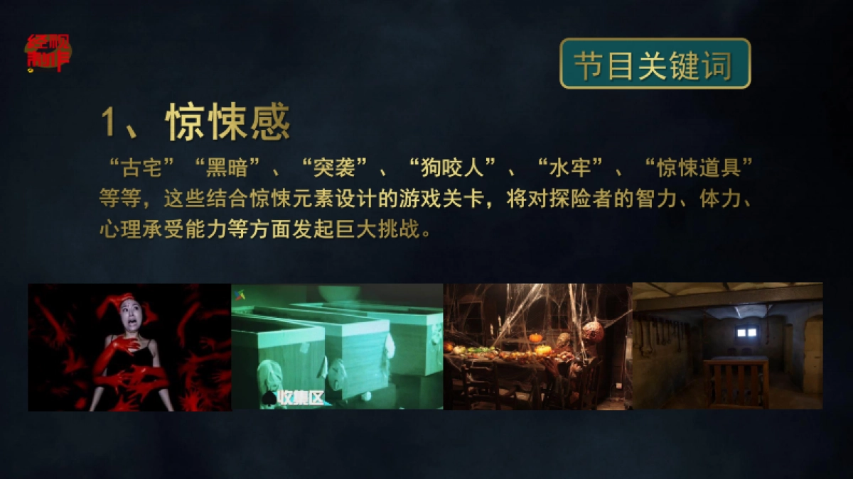 暗夜心慌慌 策划方案_第7页