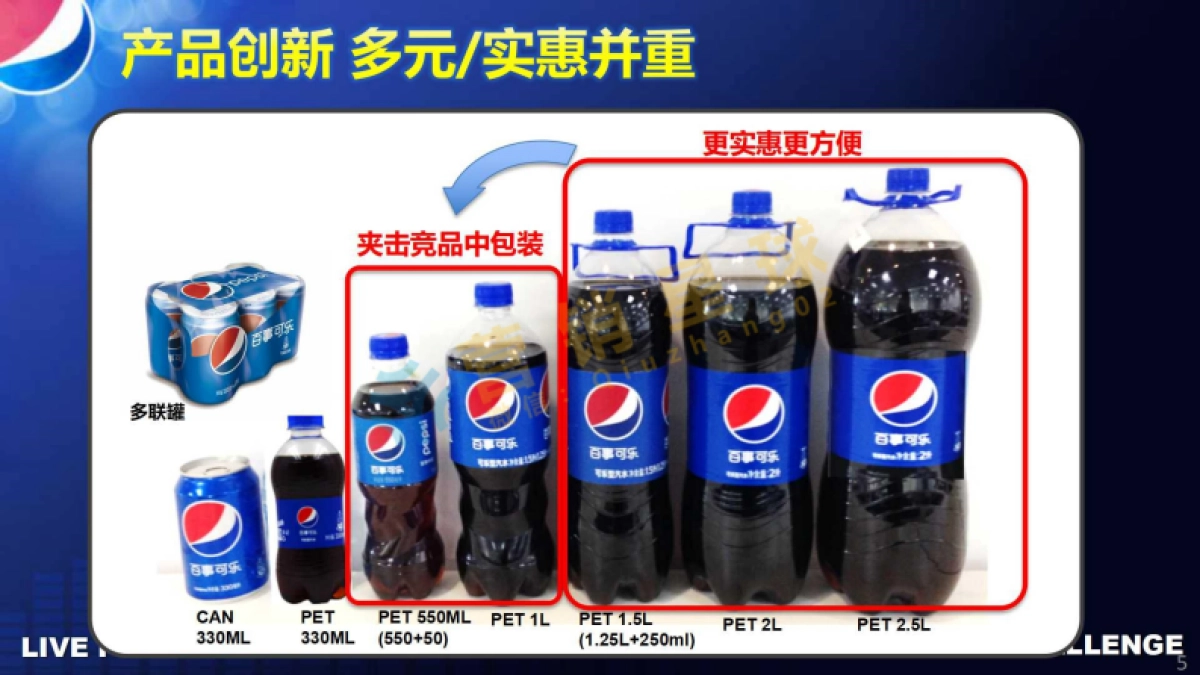 百事可乐品牌策略说明0413_压缩_第5页